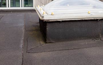 disadvantages of Preston Montford flat roofs